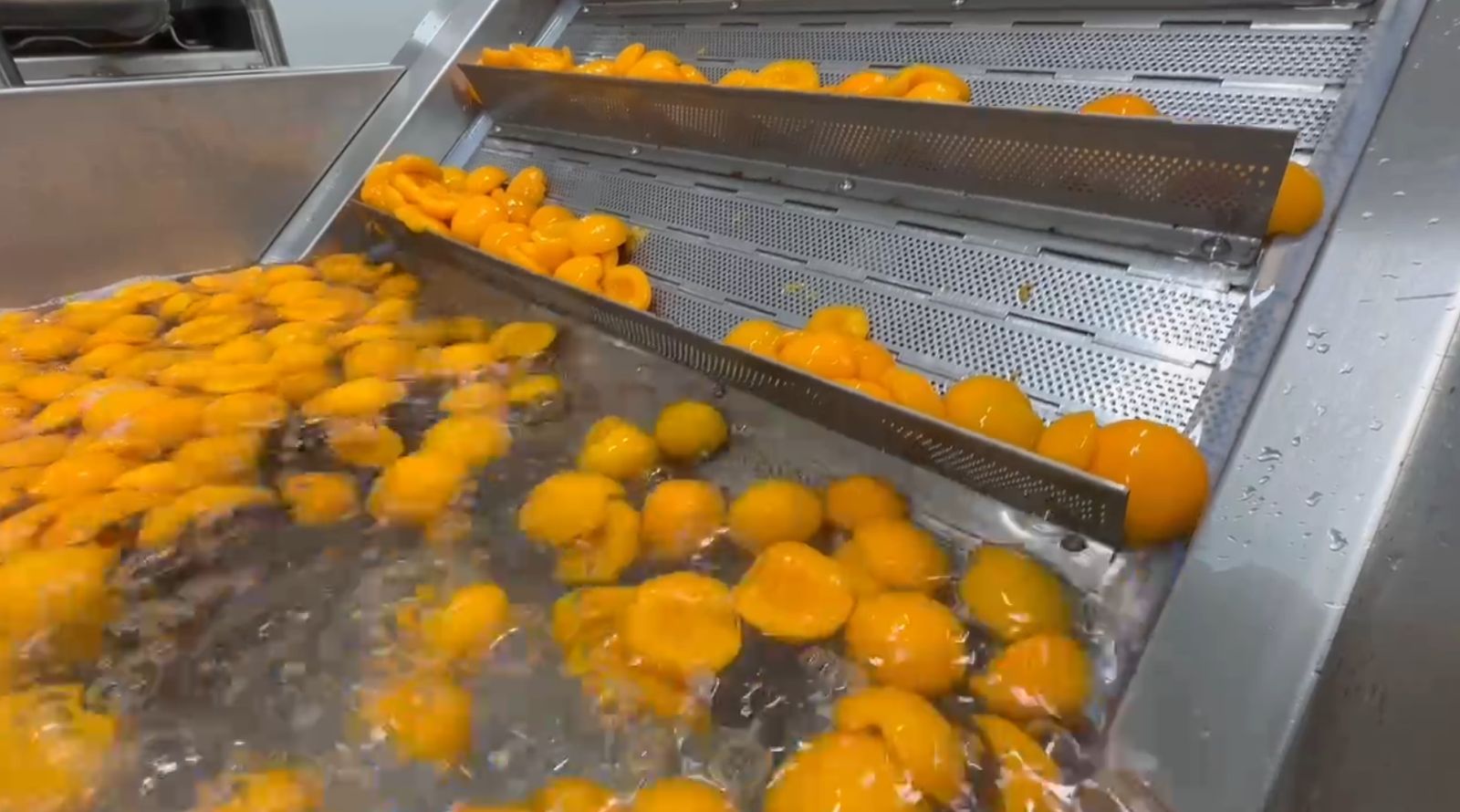桃深加工交钥匙工程工程现场