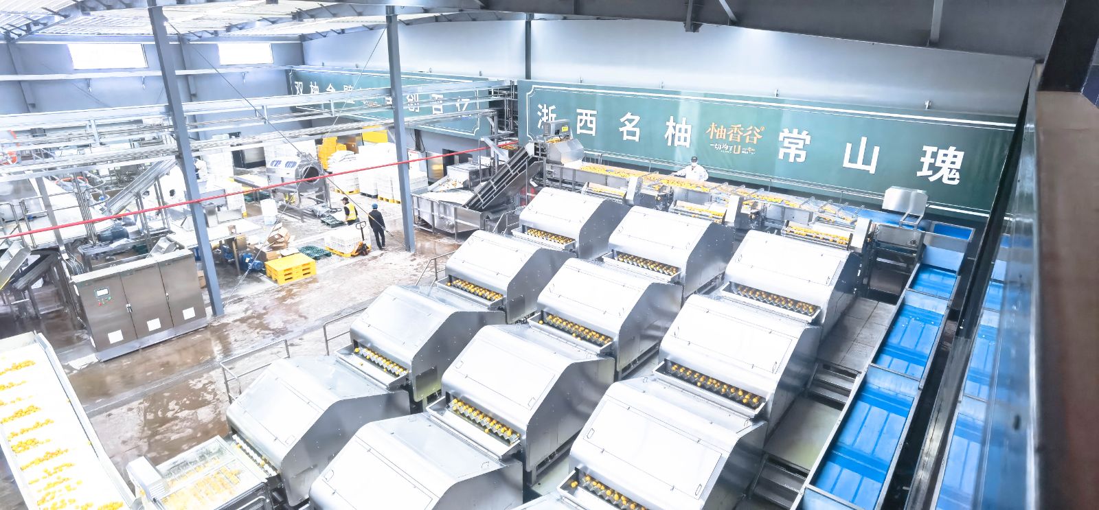 香柚深加工交钥匙工程工程现场